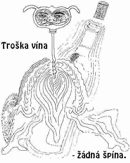 flaska-vina.jpg (27924 bytes)